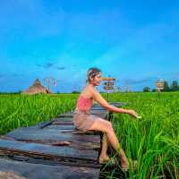 สวนอาหารฟีลทุ่งนาที่กาฬสินธุ์☘️