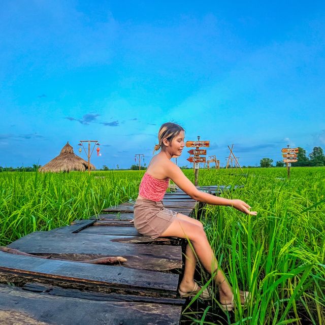 สวนอาหารฟีลทุ่งนาที่กาฬสินธุ์☘️