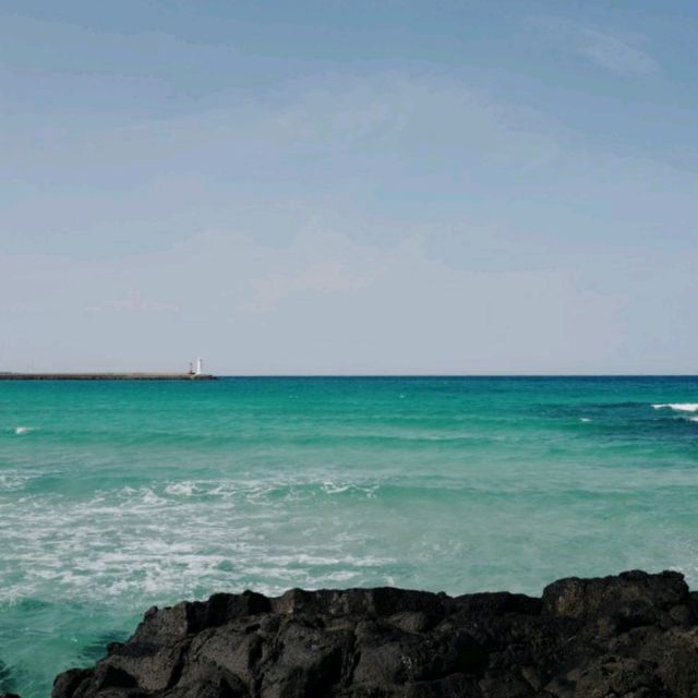 제주도 여행 세화해수욕장