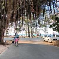 Naiyang Beach 
