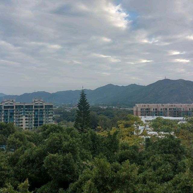 元朗公園悠閒好去處