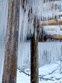 冬の風物詩－氷瀑