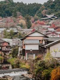 Autumn in Nara with the deers 🦌🇯🇵