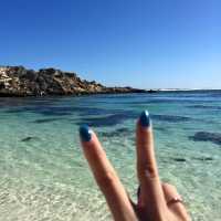 羅特尼斯島Rottnest Island｜伯斯推薦必玩景點！