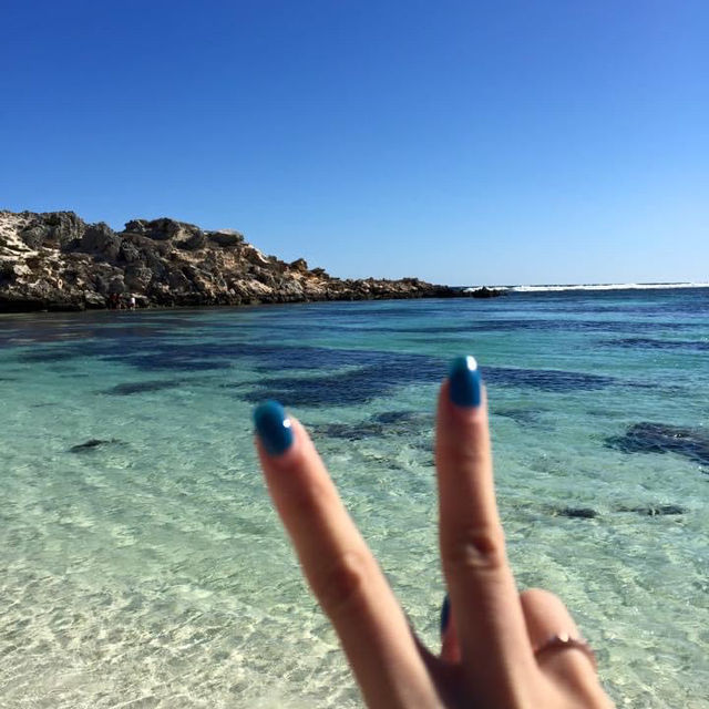 羅特尼斯島Rottnest Island｜伯斯推薦必玩景點！
