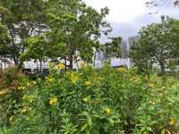 有歷奇設施嘅市區公園