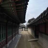 봄에 가면 좋은 창경궁 데이트