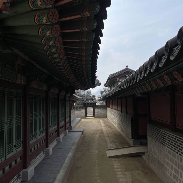 봄에 가면 좋은 창경궁 데이트