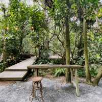 Little tree garden คาเฟ่ที่ต้นไม้โอบรับผู้มาเยือน