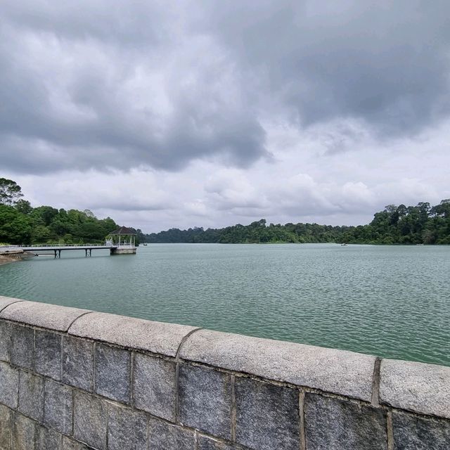 Macritchie Reservoir Like Never Before
