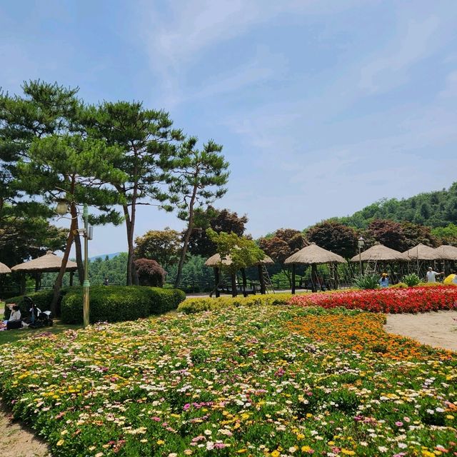 초여름 경기도 꽃구경에는 용인농촌테마파크