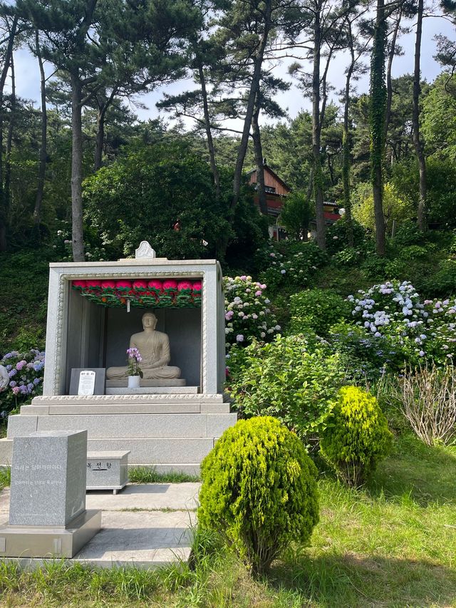 수국하면 빠질 수 없는 수국하면 빠질 수 없는