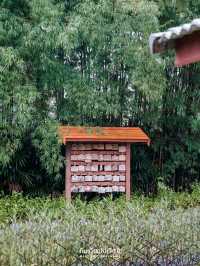 Sukito - สุขิโต 🌳🌿🪴คาเฟ่ไม่ไกลจากตัวเมืองระยอง