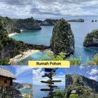 Rumah Pohon