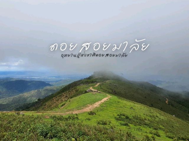 🌱อุทยานแห่งชาติดอยสอยมาลัย |  ตาก