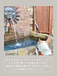 【川崎】インスタ映え抜群なお花屋さん🌼