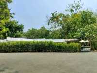 คาเฟ่ริมน้ำ+การเรียนรู้เชิงวนเกษตร อัมพวา