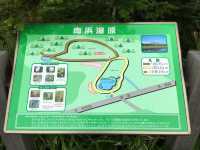 北海道　北海道観光　利尻島の南浜湿原に行ってきた！