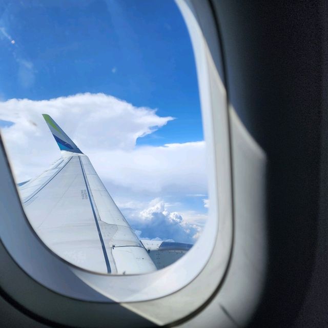 【搭乗記】AIRBUSANで韓国旅行✈️