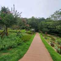 韓國景點📸峨嵯山生態公園😊親親大自然體驗日🌤