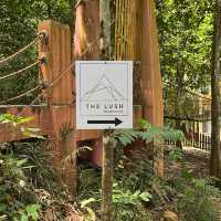 The Lush Cafe @ Gunung Lambak