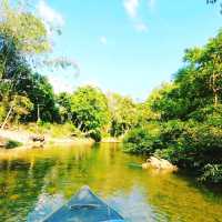 Amazing our jungle house 