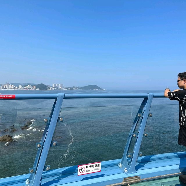 Cheongsapo Daritdol Observatory