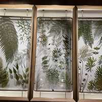 台灣博物館 古生物館 超大恐龍化石 互動導覽 好玩好充實