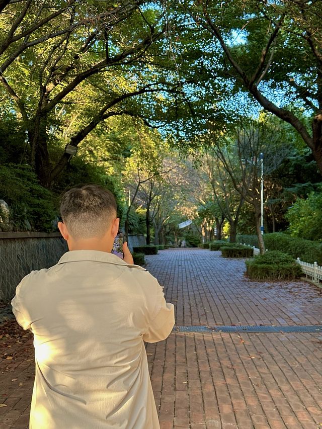 인천 노을 명소 자유공원🌅