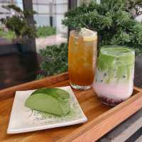 หนีแมวไป KIN Matcha - คิน มัทฉะ 🍵🍃