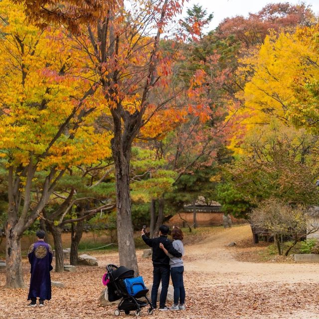 Beautiful Autumn View Korean Folk Village 