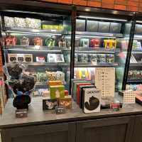 Cute Cacaocat Bugis Junction
