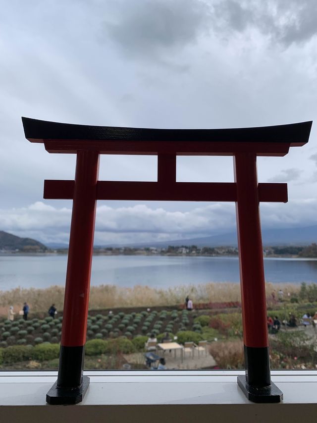 大石公園是當地最著名的花田🌸