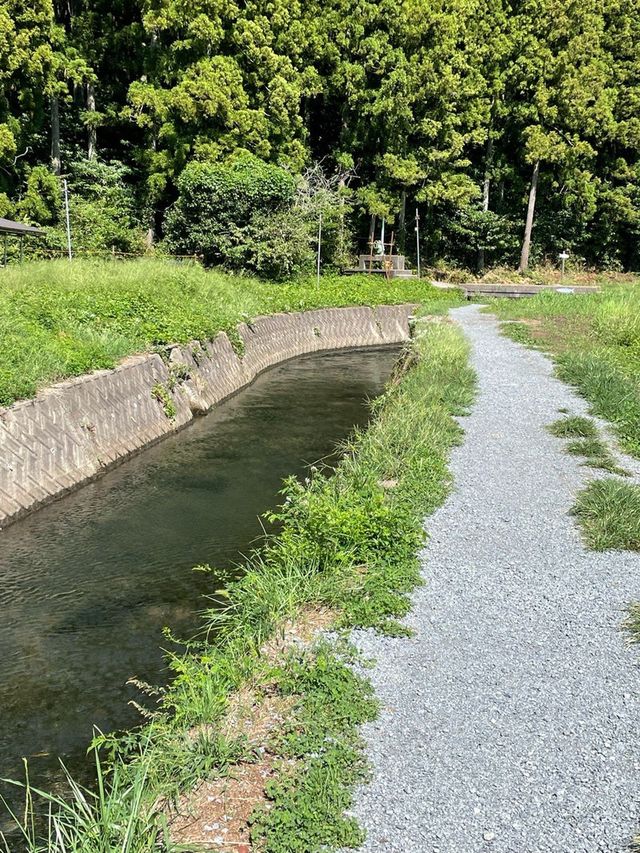 【山形県/丸池神社】2023年行ってよかった！山形県の神社③