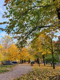 Day trip to Finland by Sea