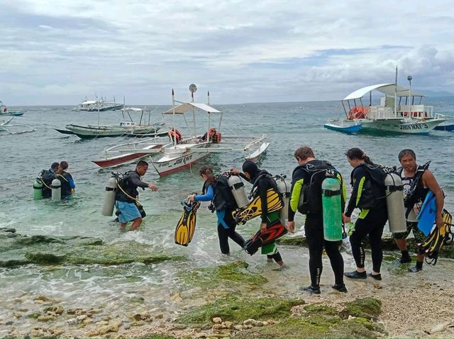 Apo Island, Dumaguete Philippines