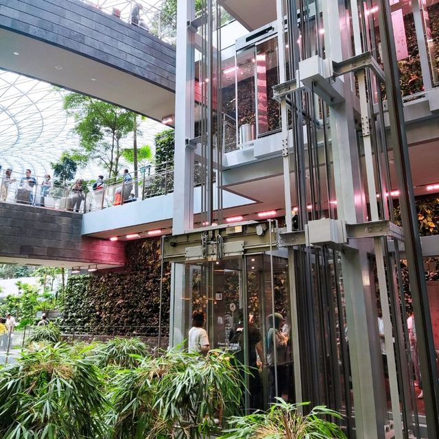 Jewel Changi Airport Attractions