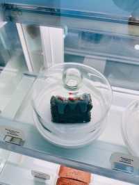 Popup Store登陸海港城