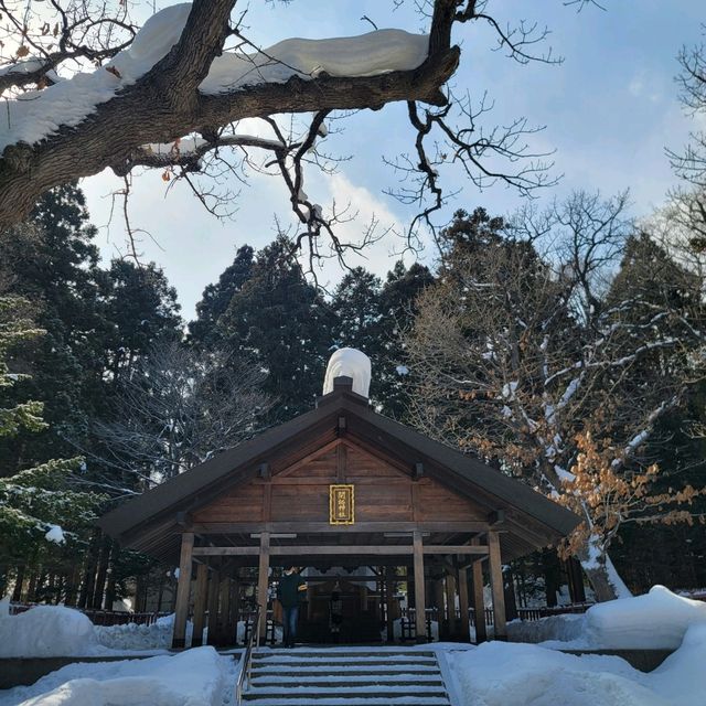 일본 삿포로를 여행 할 때 들려보면 좋을 ❤️홋카이도 신궁 北海道神宮❤️