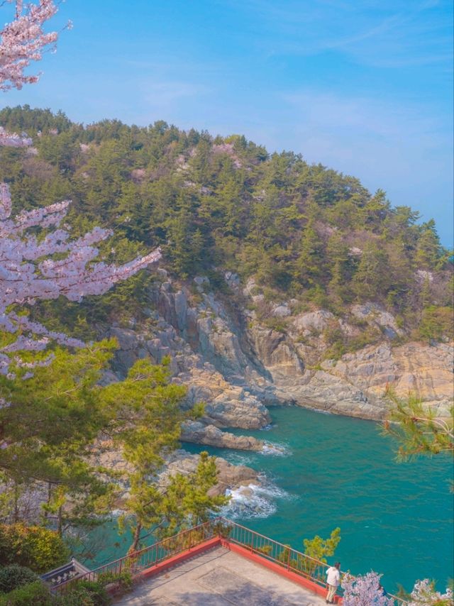 스즈메의 문단속을 연상시키는 "용월사"
