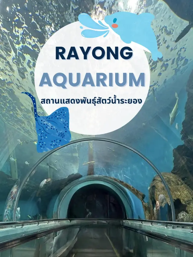 ตื่นตาโลกใต้น้ำ Rayong Aquarium🐠🐡