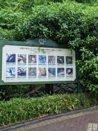 【癒しの神戸】ハーブが香る神戸布引ハーブ園