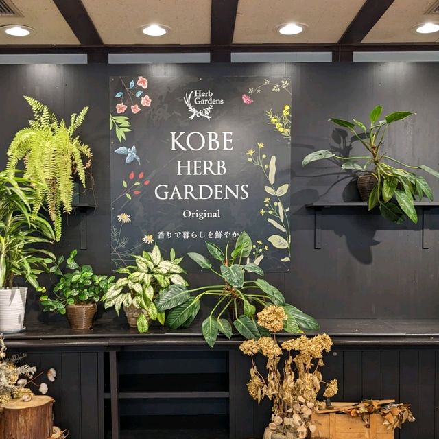 【ハーブ探しの旅】神戸最大の癒しスポット！神戸布引ハーブ園