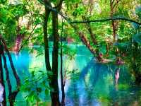 Malumpati Cold Spring