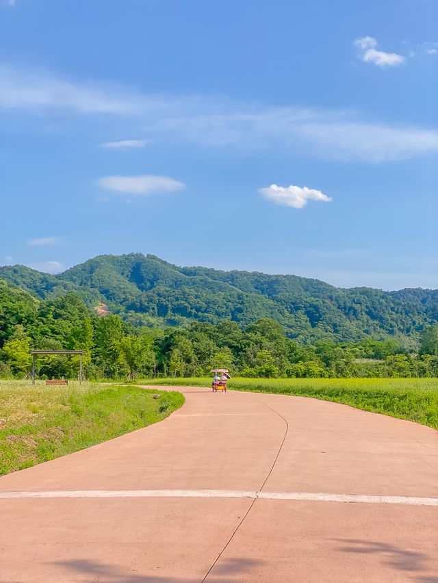 포천 꽃구경 나들이 코스 🌿봄꽃정원