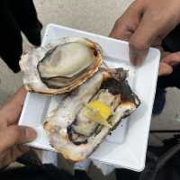 Hate Oyster? No.. Not at Miyajima Island