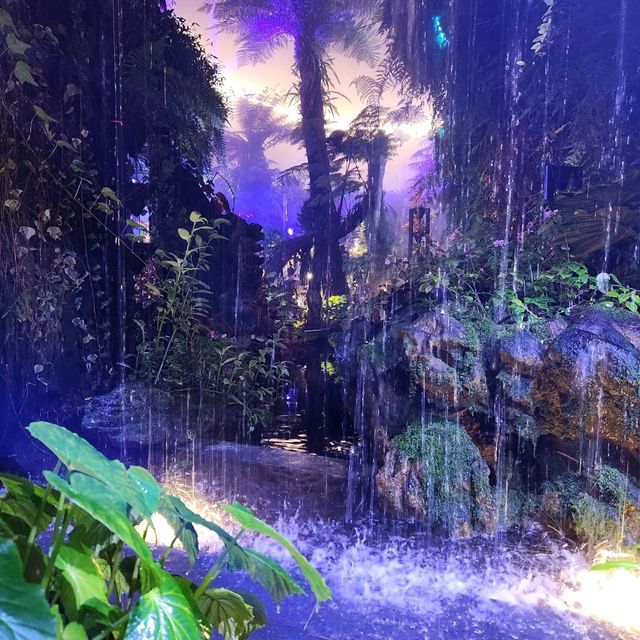 步入潘朵拉星球成為阿凡達-新加坡雲霧林