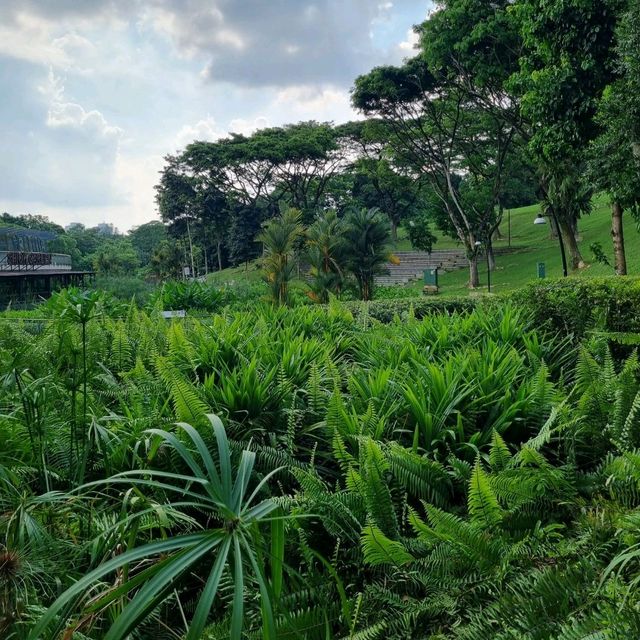 Relax with Nature At Admiralty Park