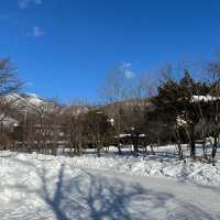 【北海道】凍らないけど極寒！冬の支笏湖