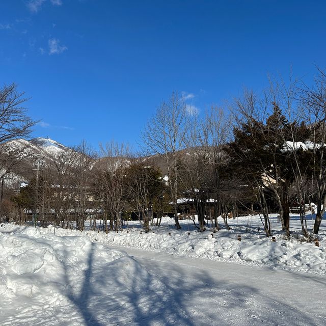 【北海道】凍らないけど極寒！冬の支笏湖